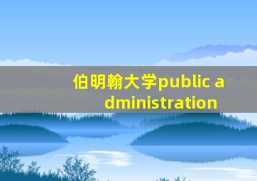 伯明翰大学public administration